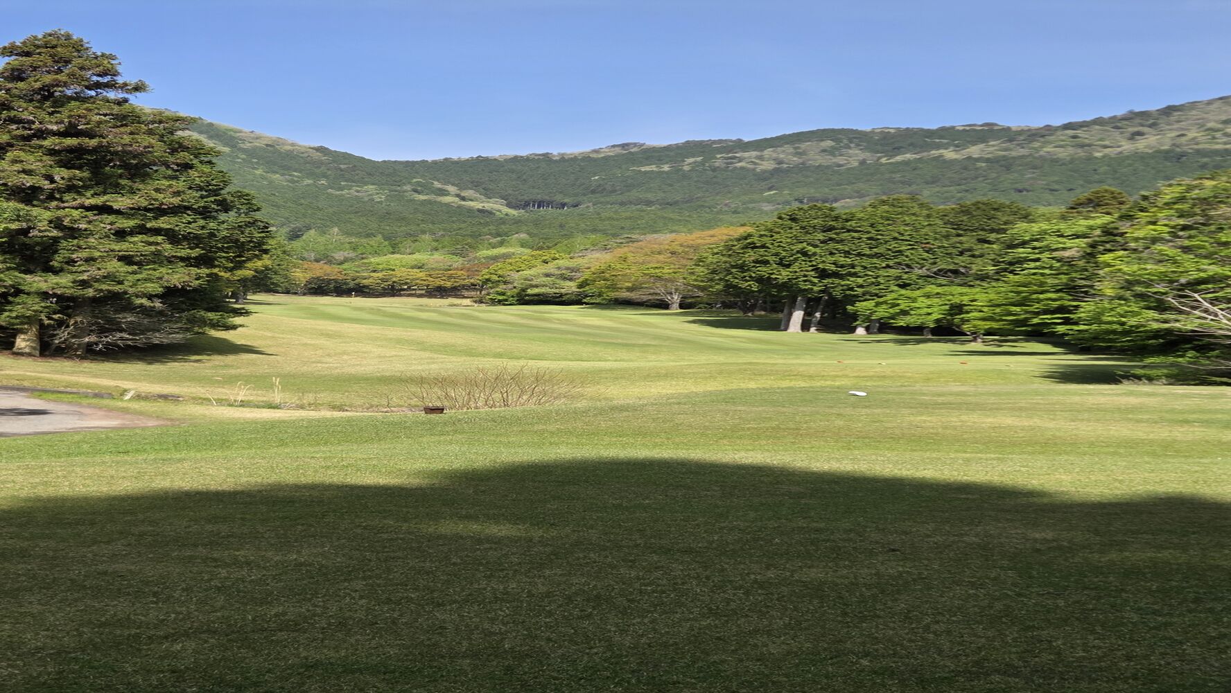 画像10558