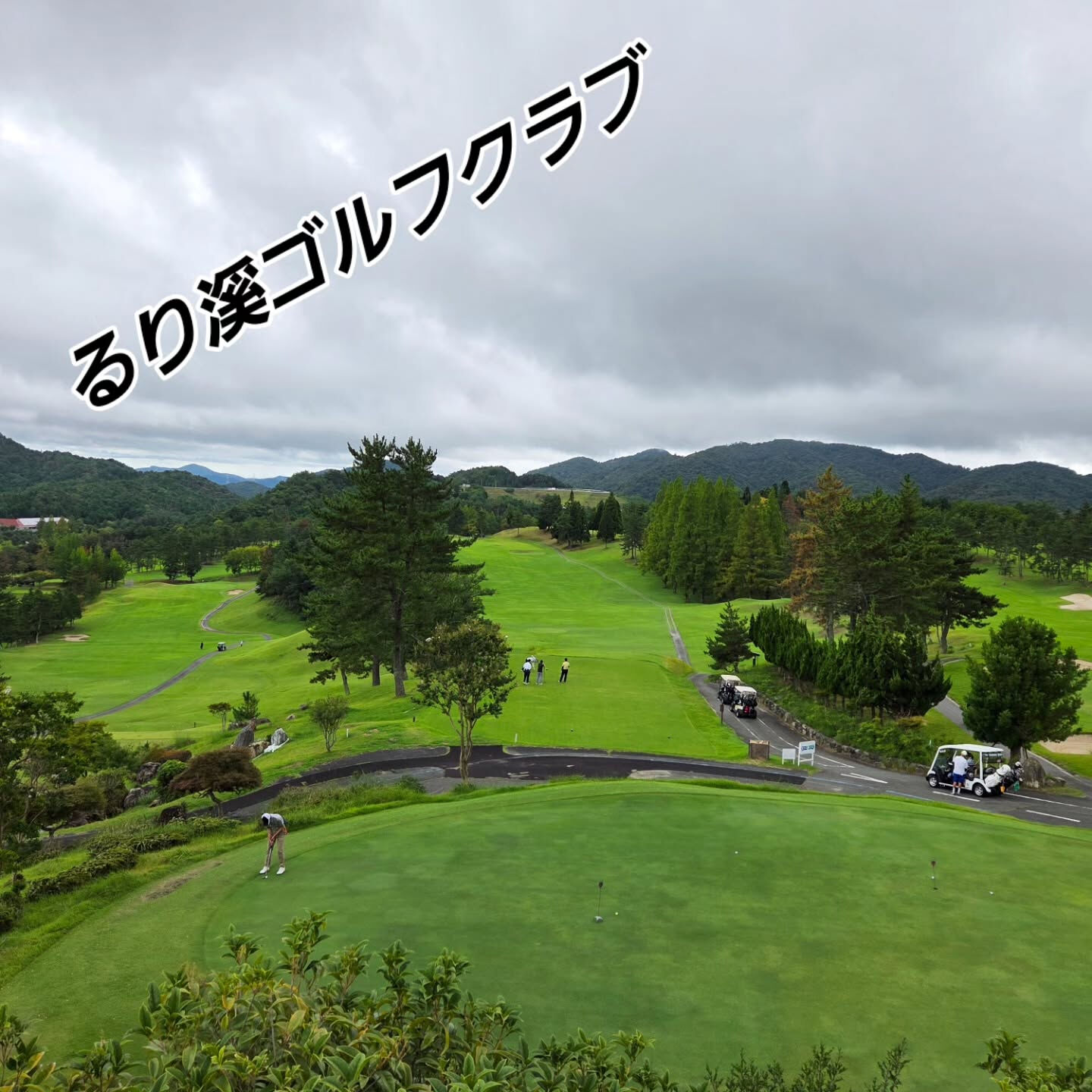 カート乗入れ期待してたのに乗入れ不可😭