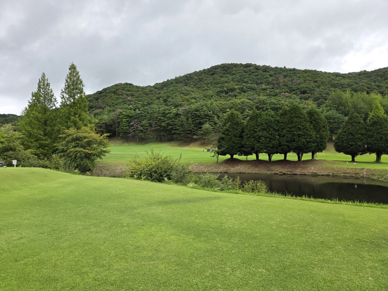 画像2321