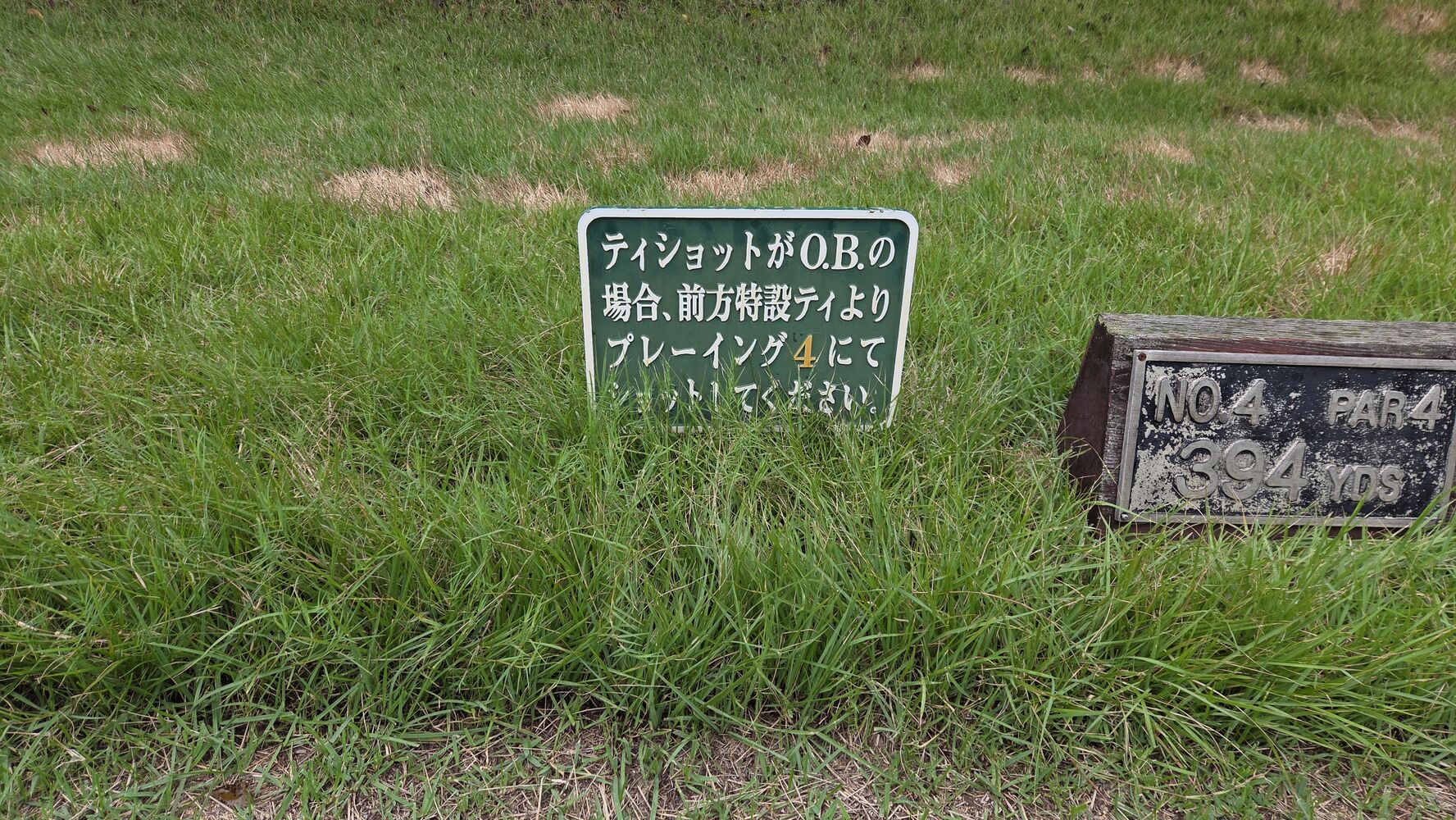 画像3062
