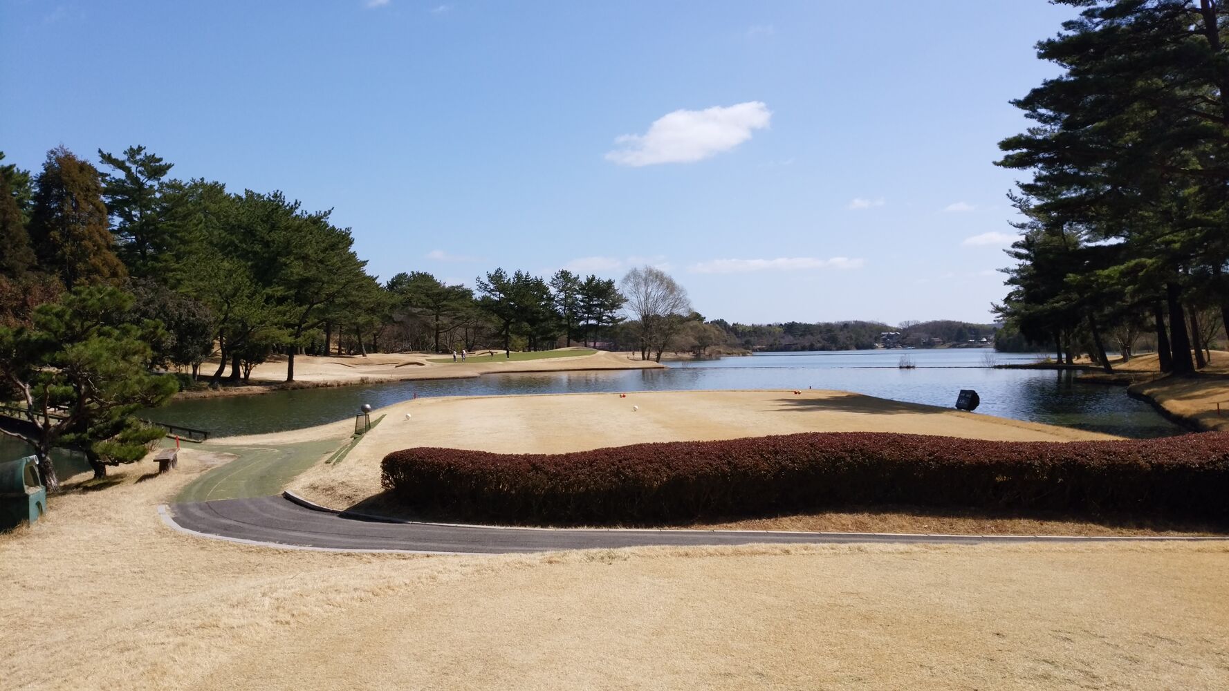 画像3401