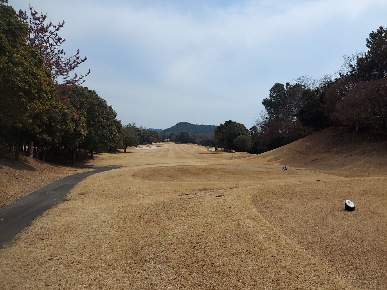 画像4281