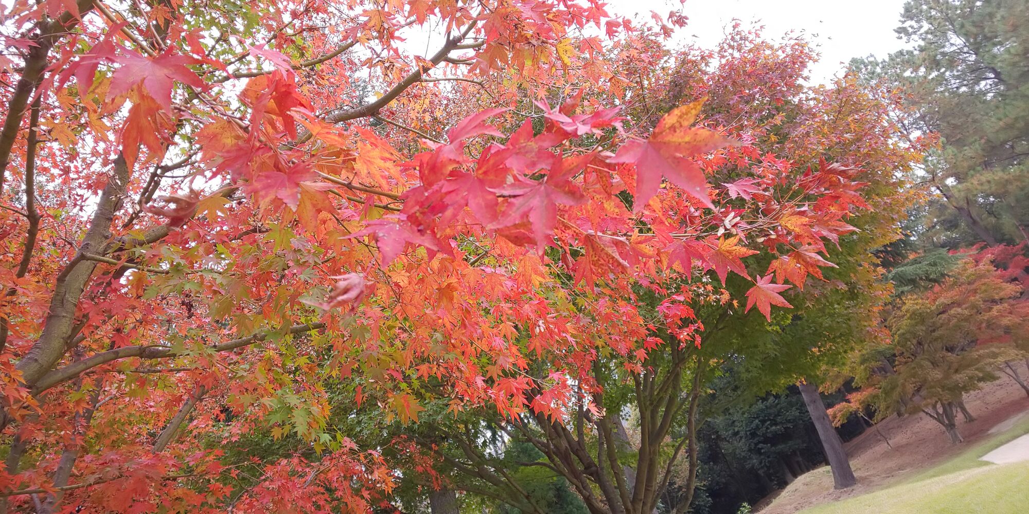 画像4307