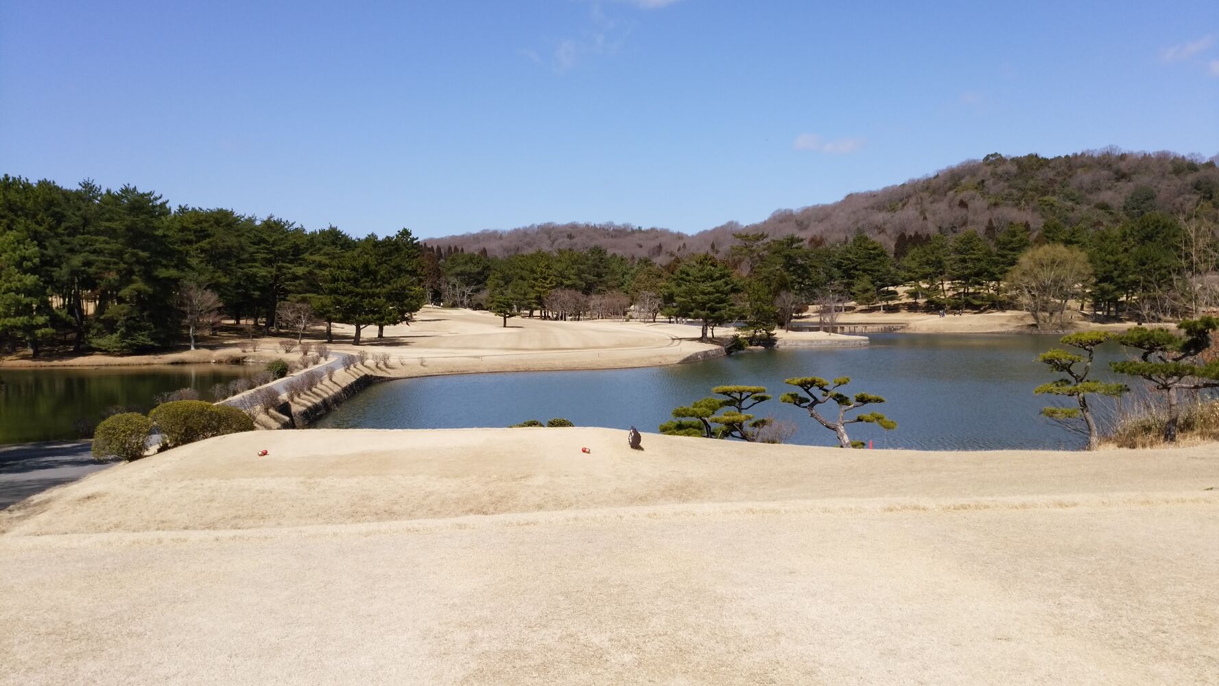 画像4698