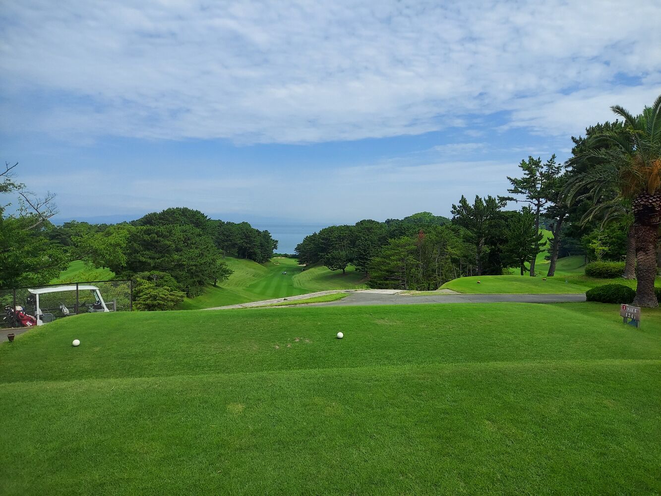 画像8140
