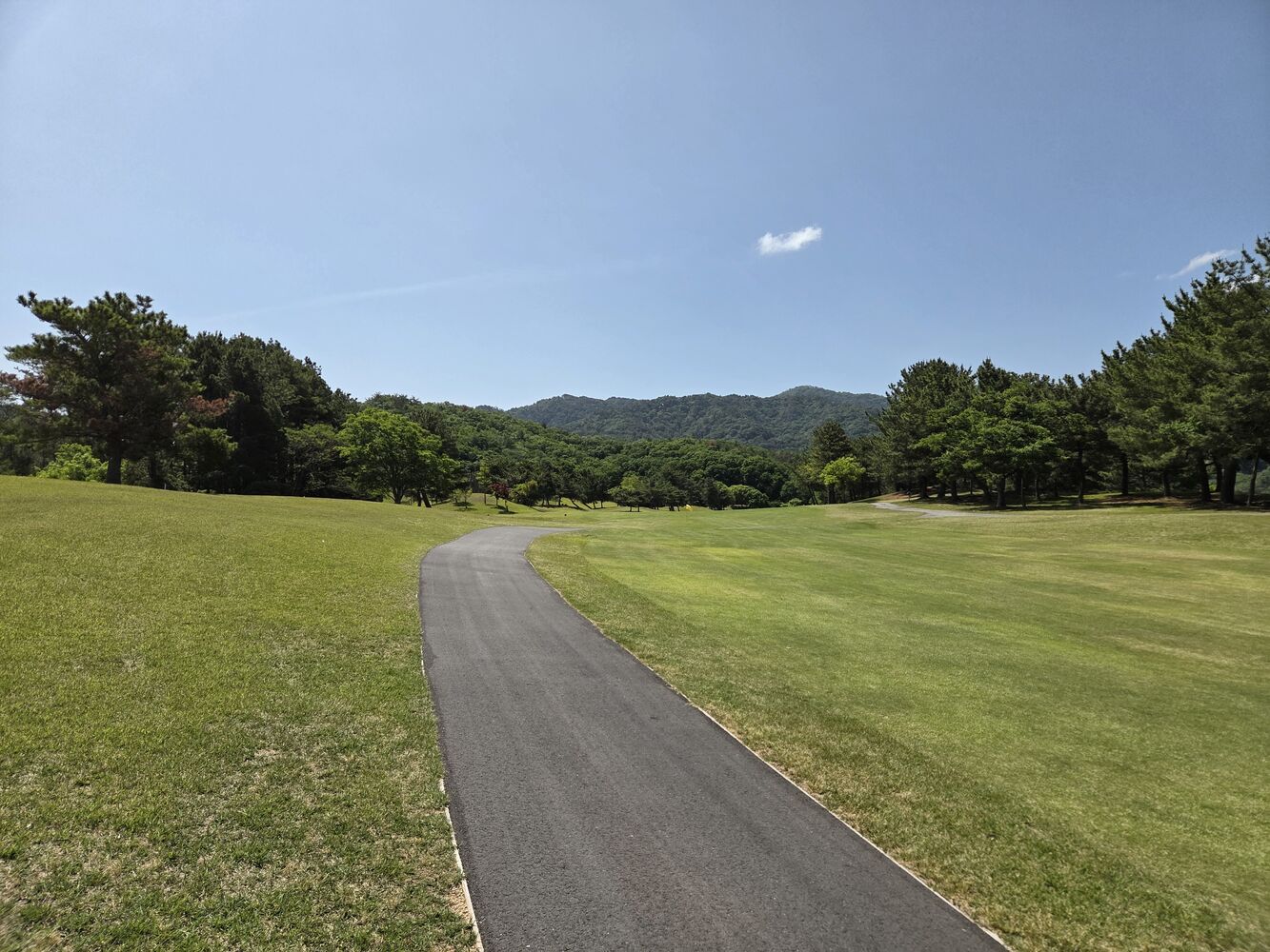 画像8685
