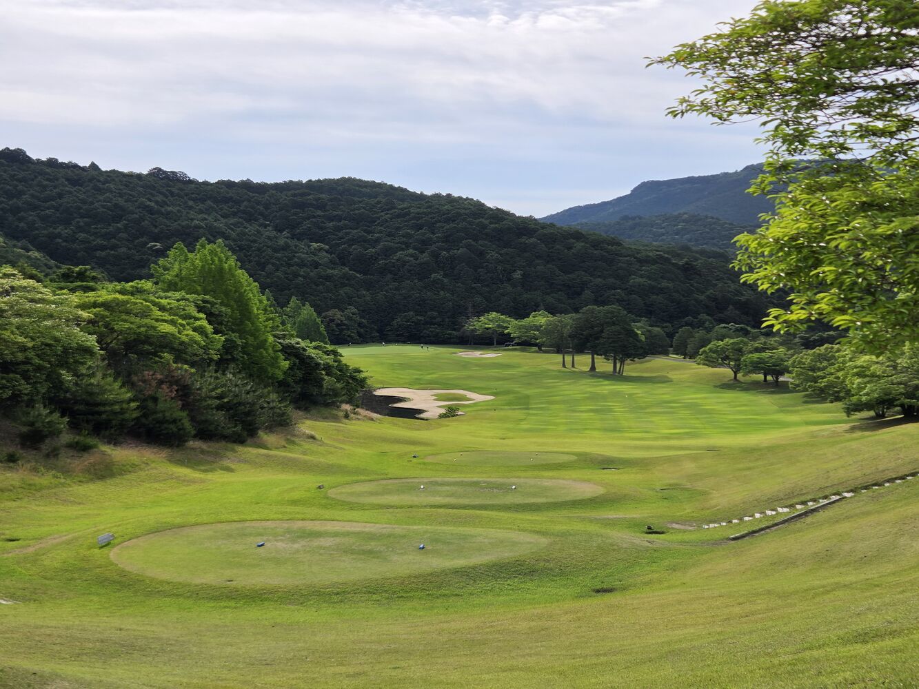 画像8841