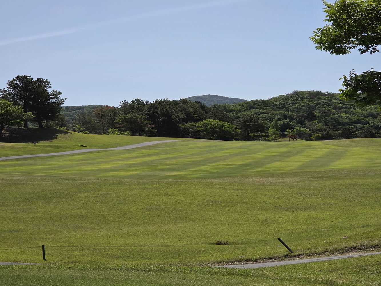 画像9256